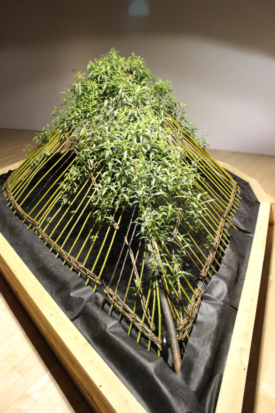 03 Sculpture Vivante 2013 Nathalie Levasseur artiste