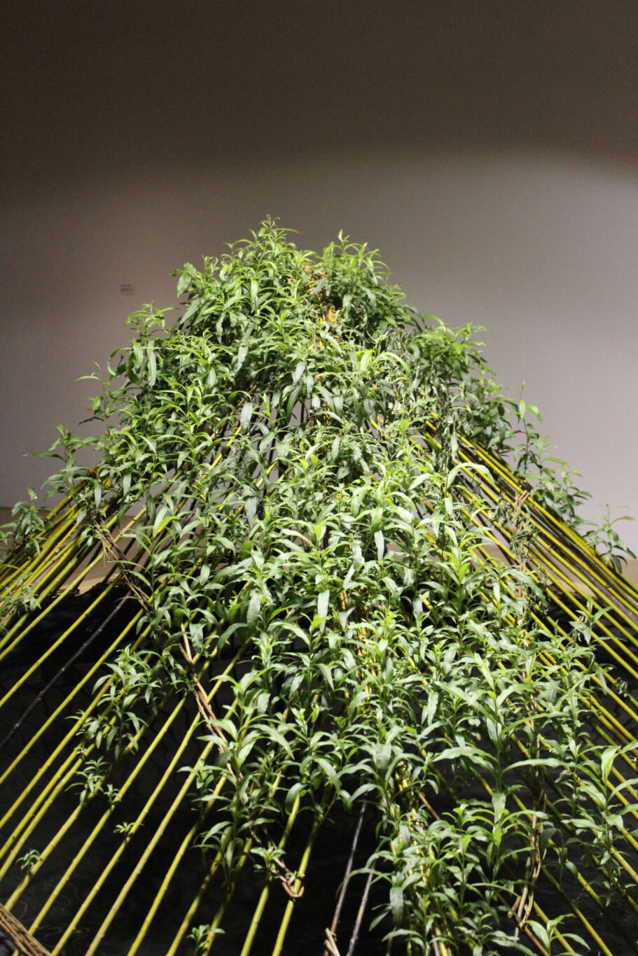 04 Sculpture Vivante 2013 Nathalie Levasseur artiste