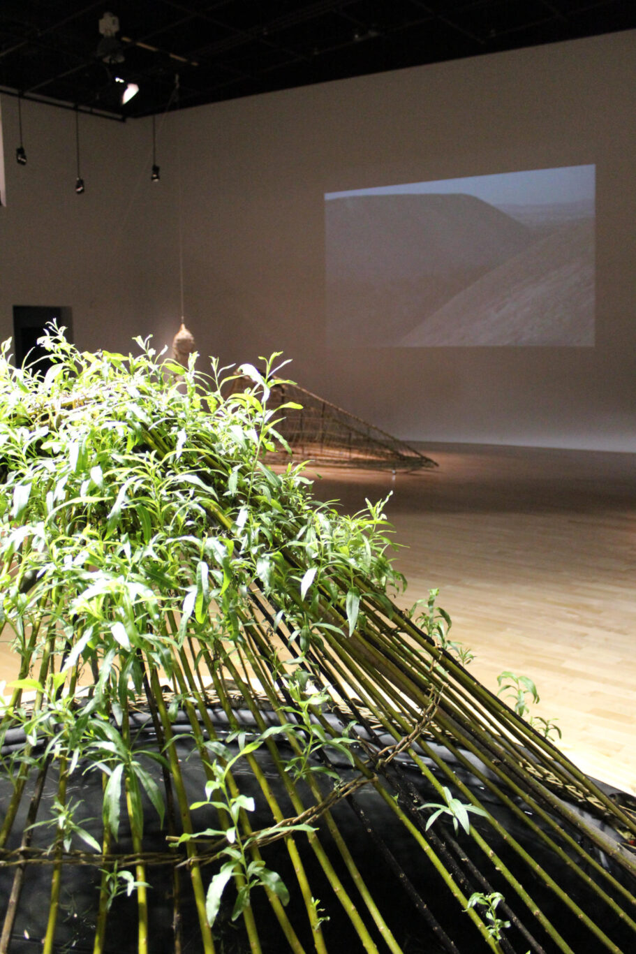 05 Sculpture Vivante 2013 Nathalie Levasseur artiste