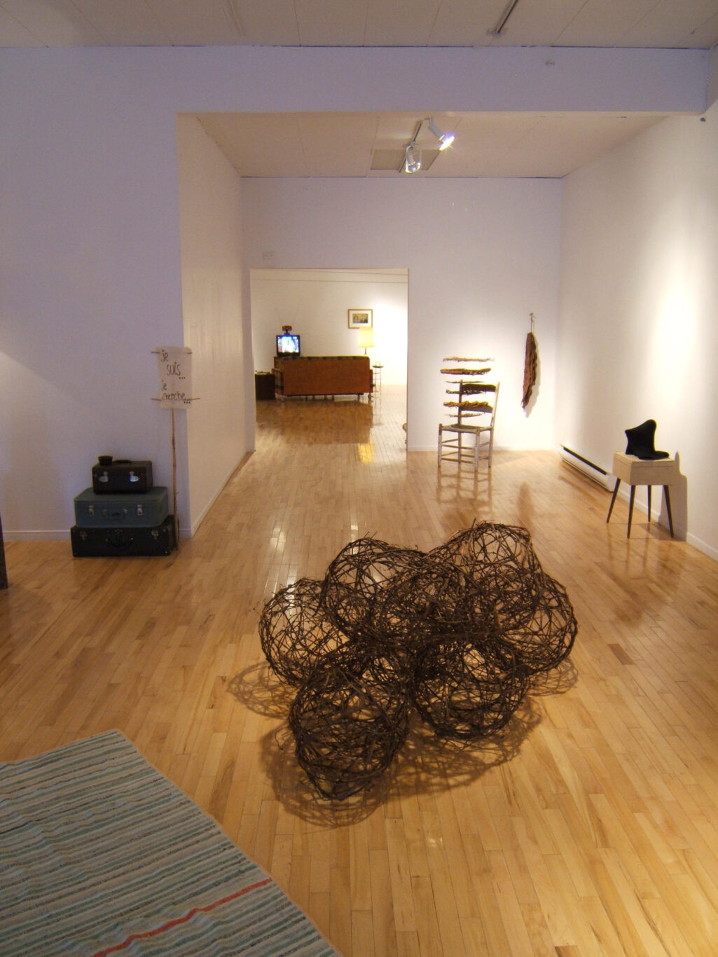 05 Conscience et Racines Installation Nathalie Levasseur Artiste