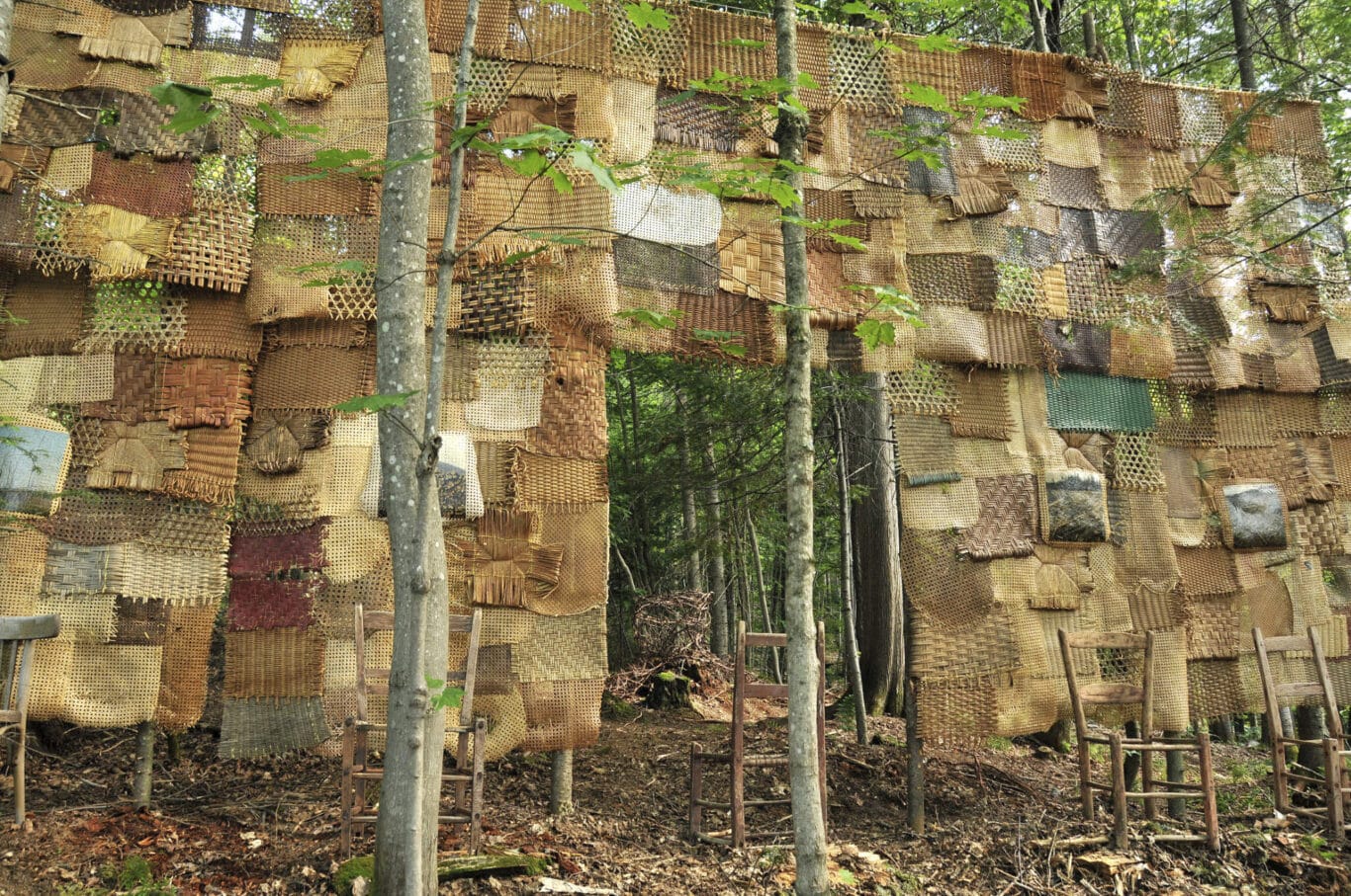 05 Mes racines ma terre InSitu 2010 1 2 NathalieLevasseur