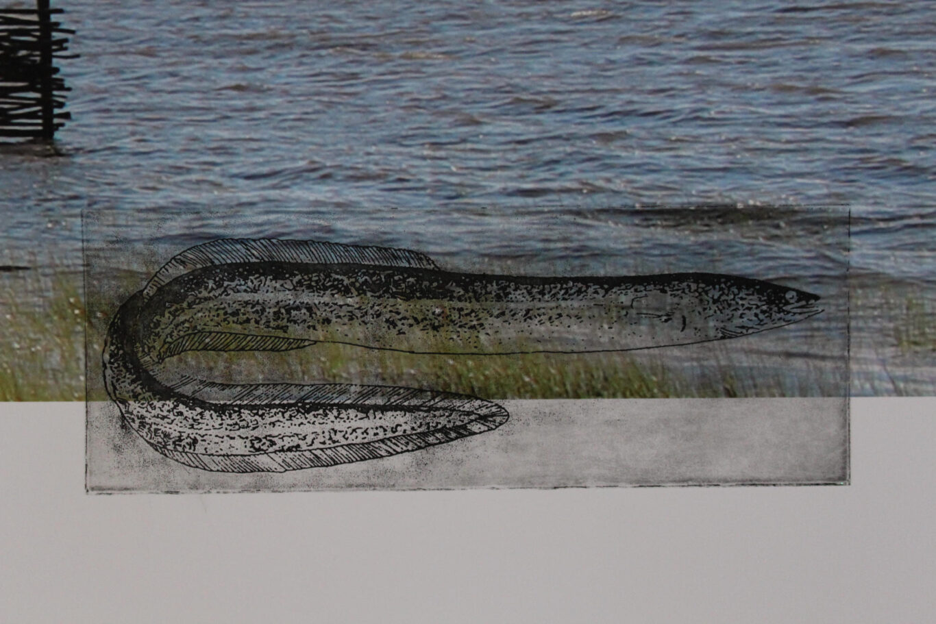 05 pour La Beaute du piege NathalieLevasseur Artiste