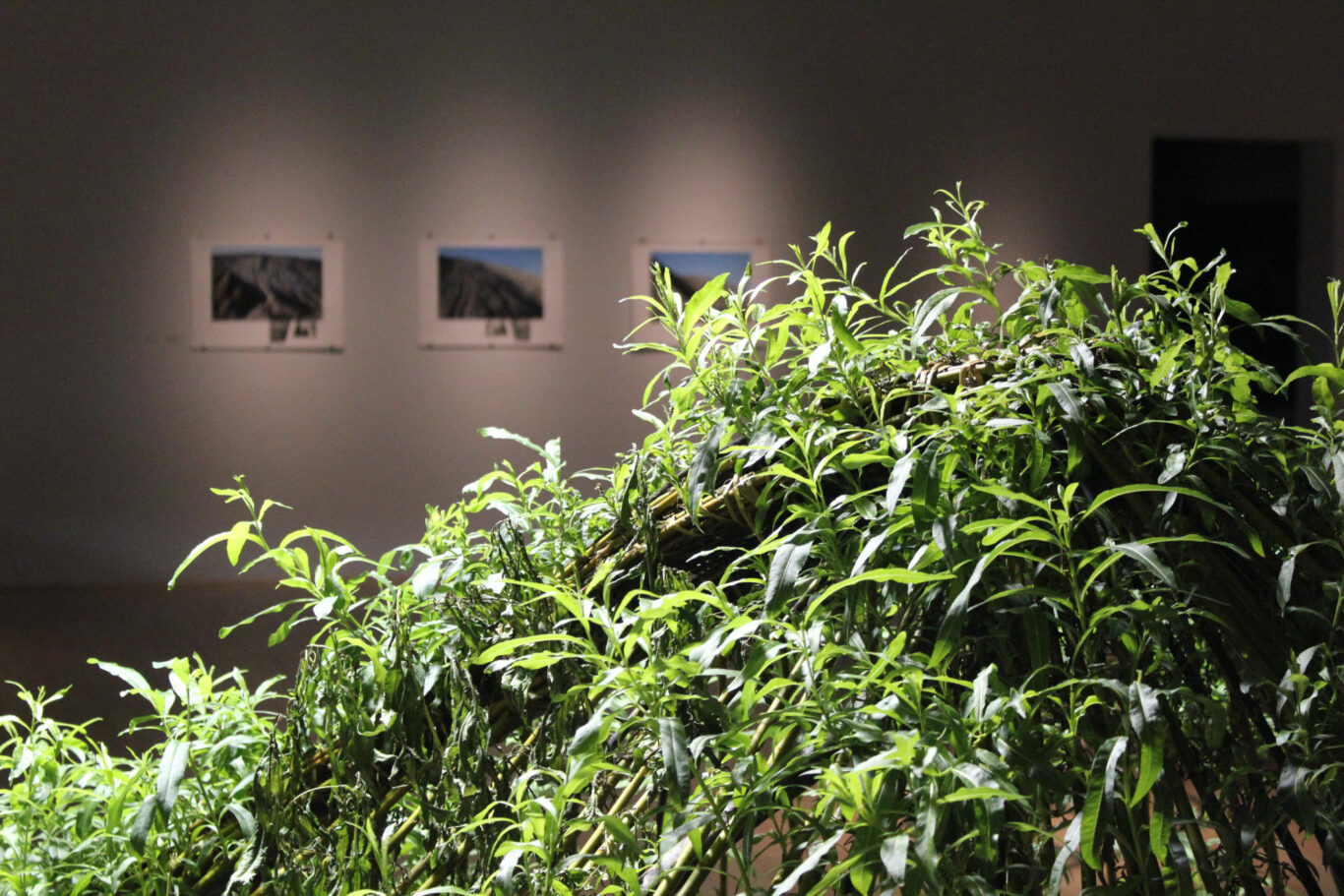 06 Sculpture Vivante 2013 Nathalie Levasseur artiste