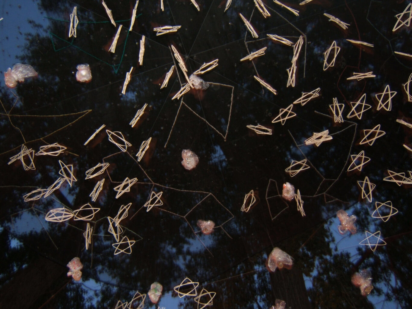 06 Voute Celeste 2009 Nathalie Levasseur artiste