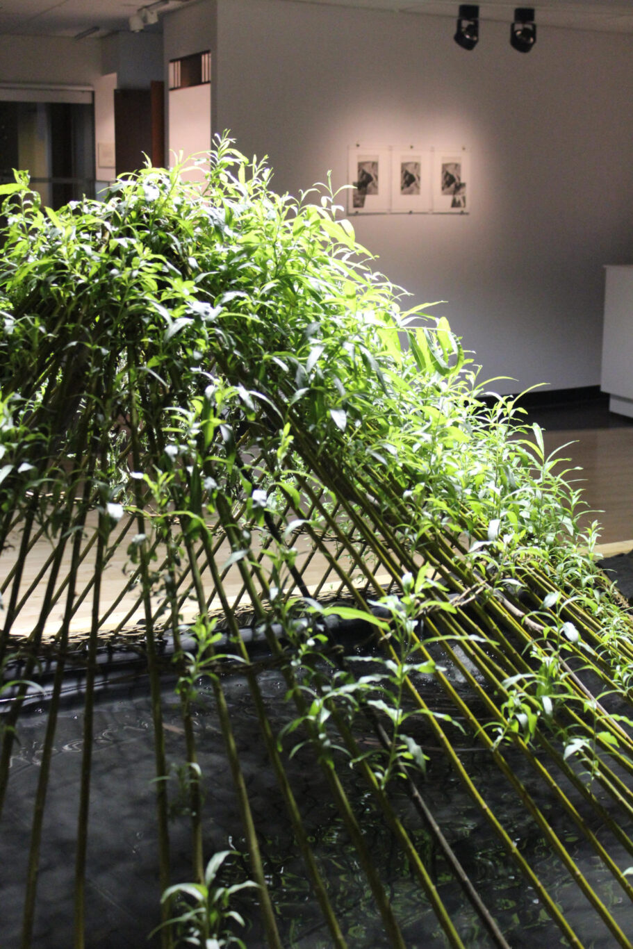 07 Sculpture Vivante 2013 Nathalie Levasseur artiste