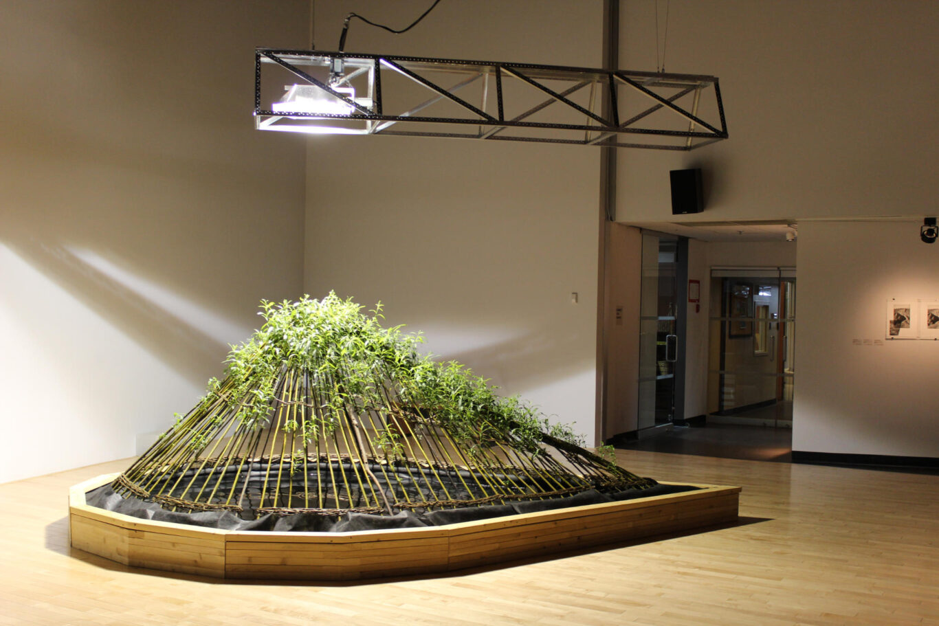 08 installation pourvu qu il pleuve 2013 Nathalie Levasseur artiste