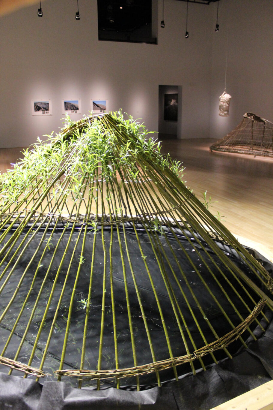 09 installation pourvu qu il pleuve 2013 Nathalie Levasseur artiste