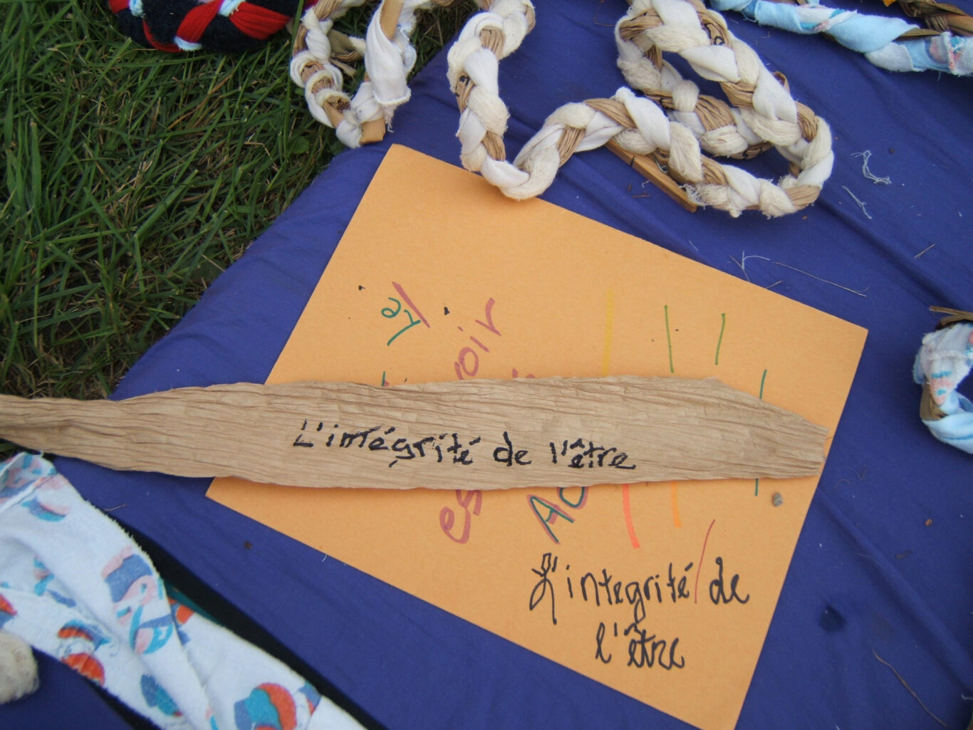 10 In Socius Tresser des liens durables 2008 Nathalie Levasseur artiste