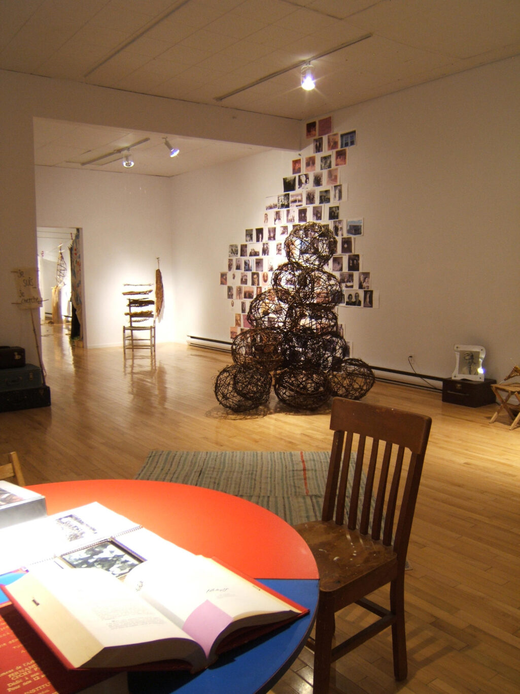 11 Conscience et Racines Installation Nathalie Levasseur Artiste