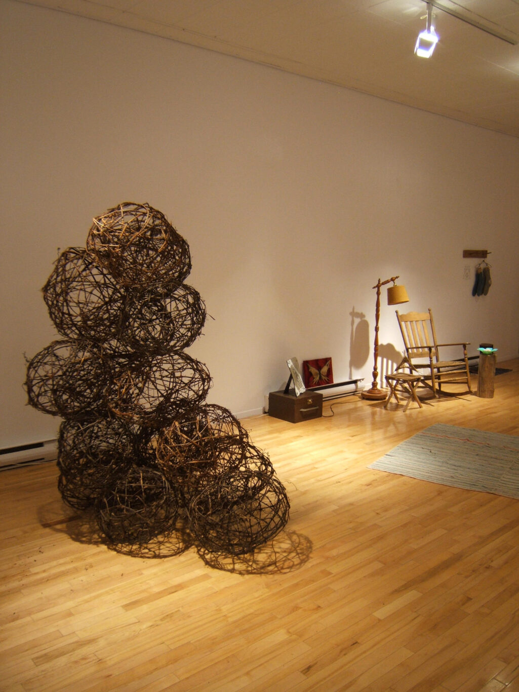 13 Conscience et Racines Installation Nathalie Levasseur Artiste