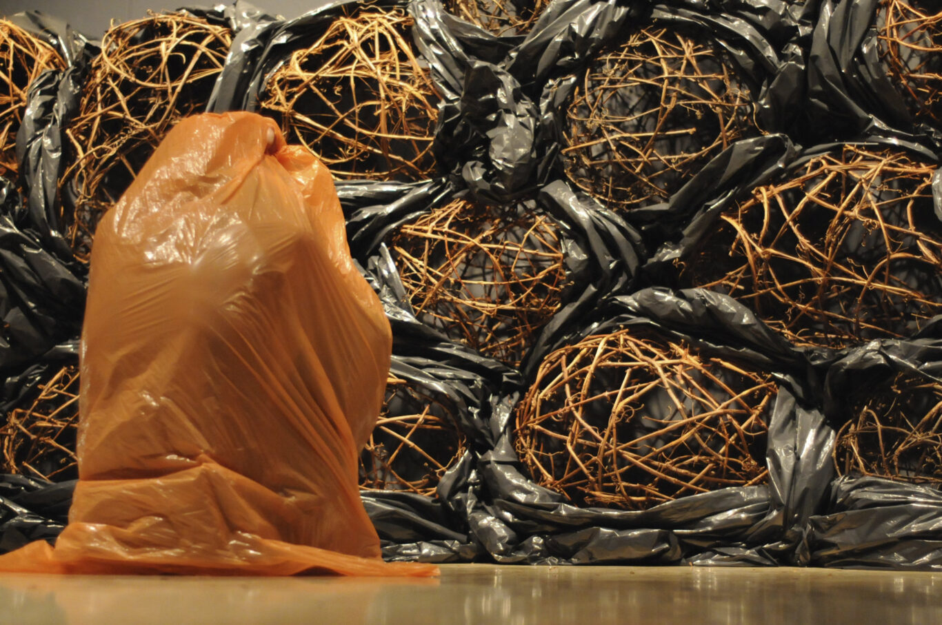 15 Au pied du mur 2008 Nathalie Levasseur Artiste