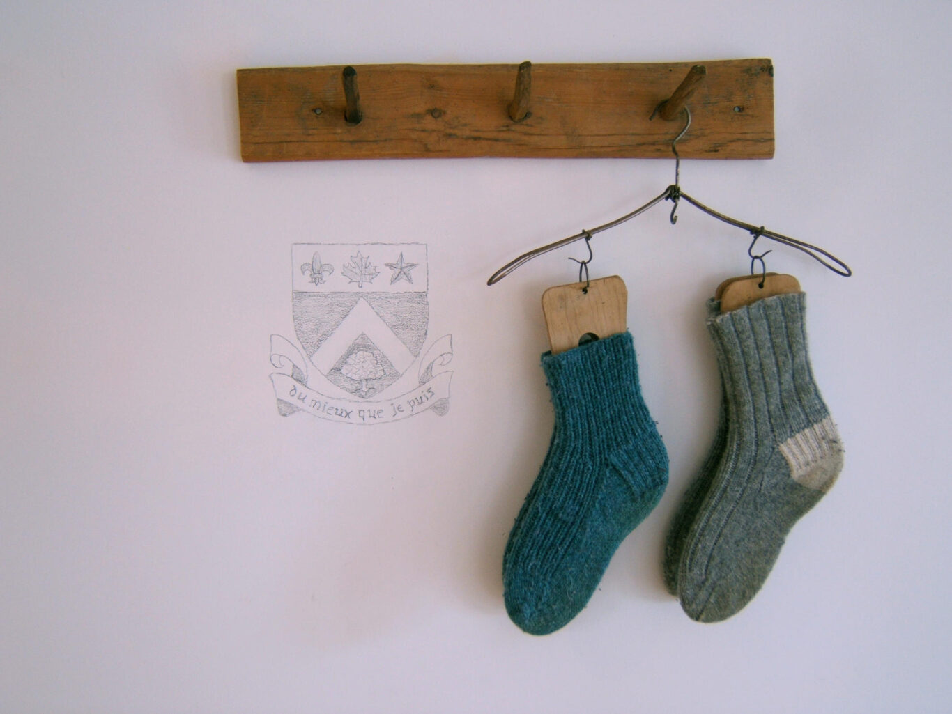 15 Conscience et Racines Installation Nathalie Levasseur Artiste