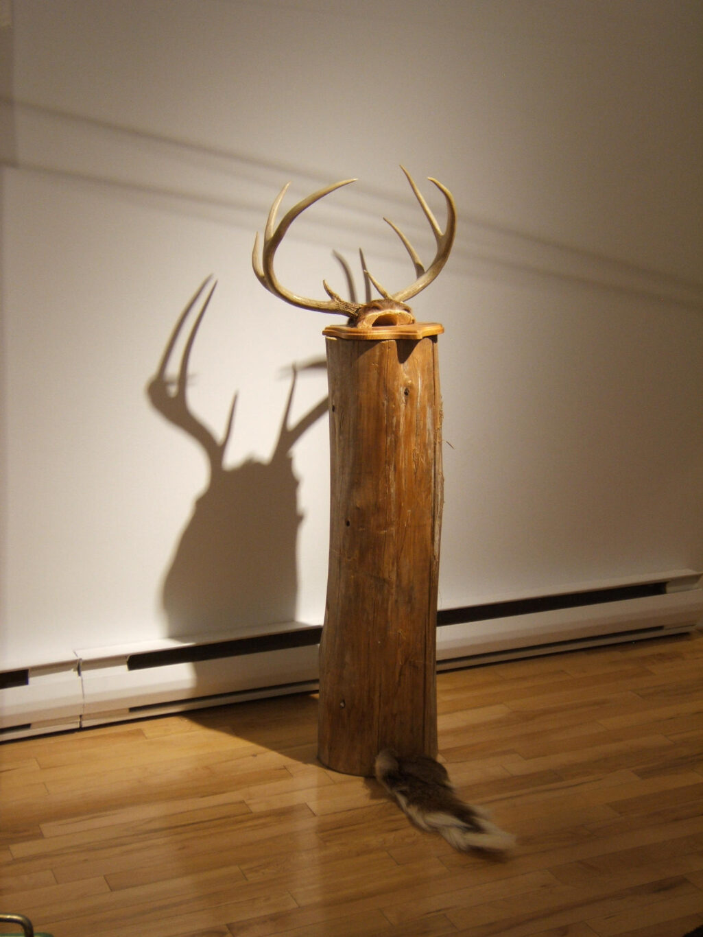 19 Conscience et Racines Installation Nathalie Levasseur Artiste