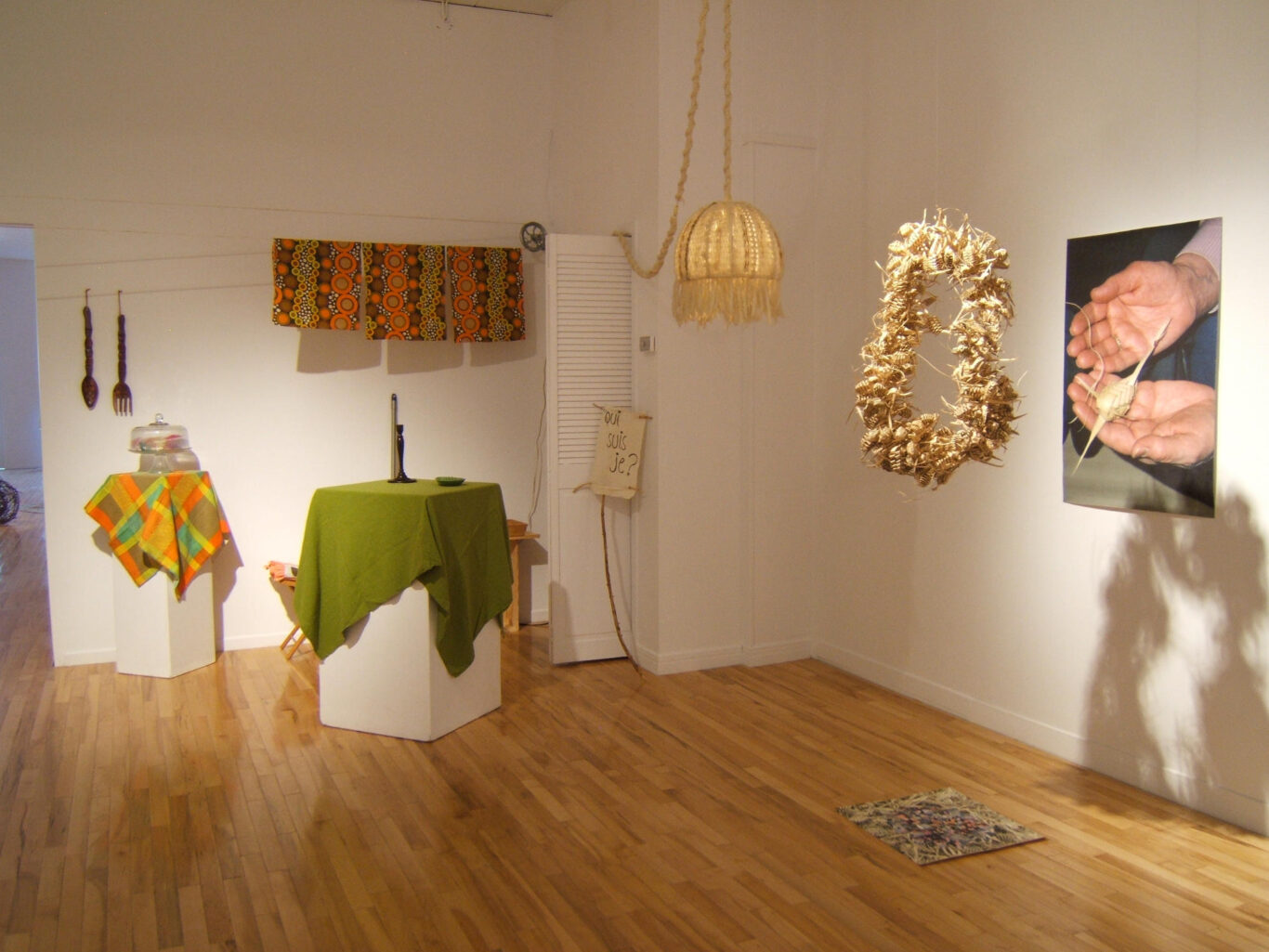 24 Conscience et Racines Installation Nathalie Levasseur Artiste