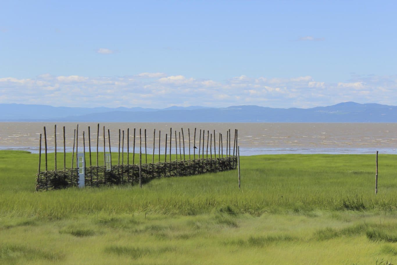 nathalie levasseur artiste laisser respirer 1