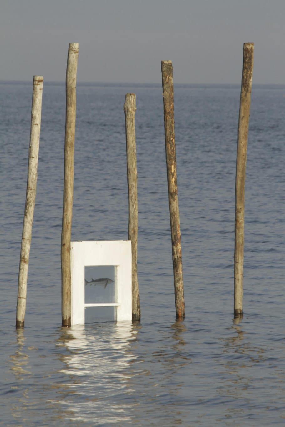 nathalie levasseur artiste laisser respirer 12