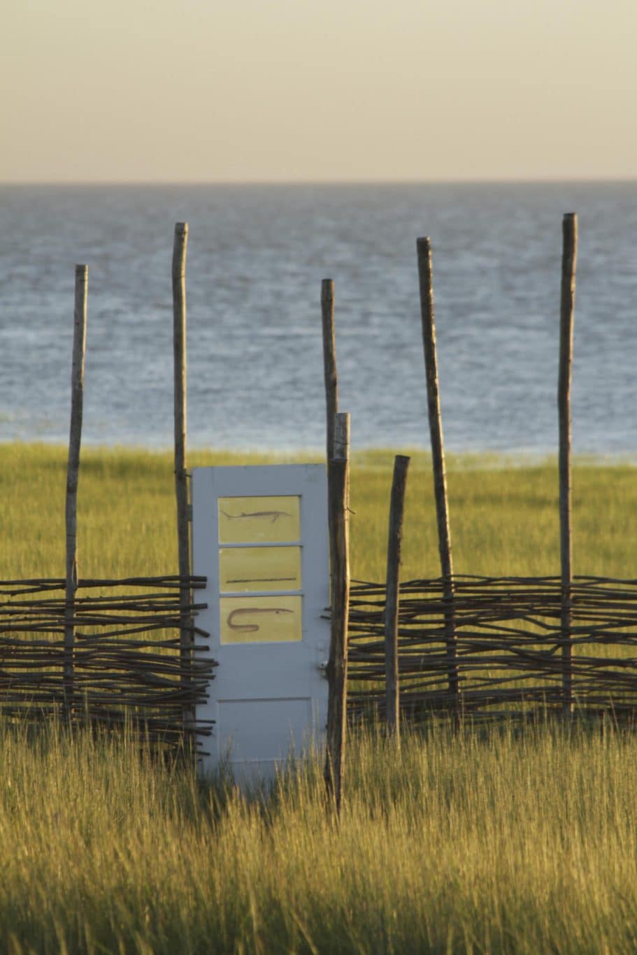 nathalie levasseur artiste laisser respirer 13