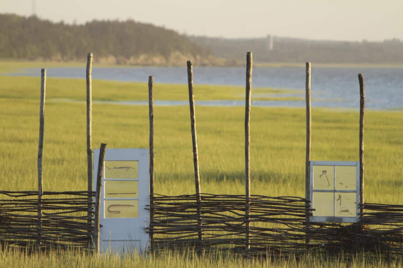 nathalie levasseur artiste laisser respirer 14