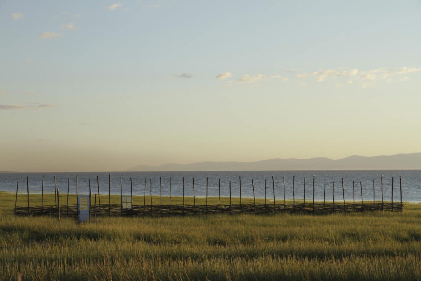 nathalie levasseur artiste laisser respirer 15