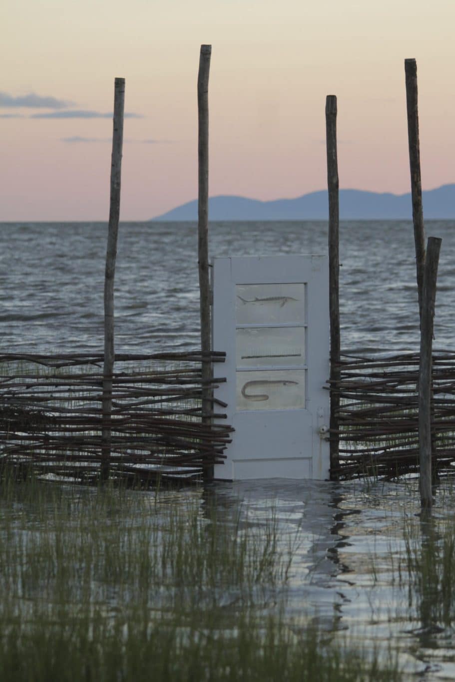 nathalie levasseur artiste laisser respirer 16