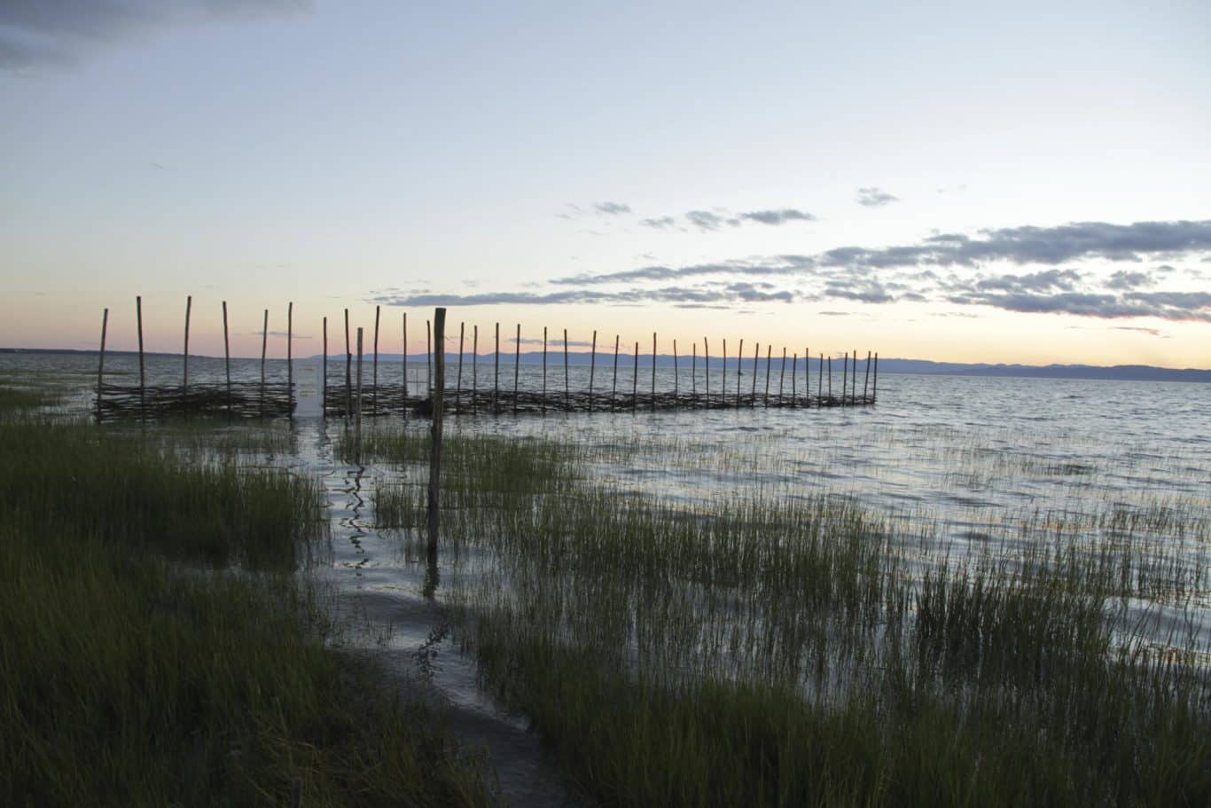 nathalie levasseur artiste laisser respirer 17