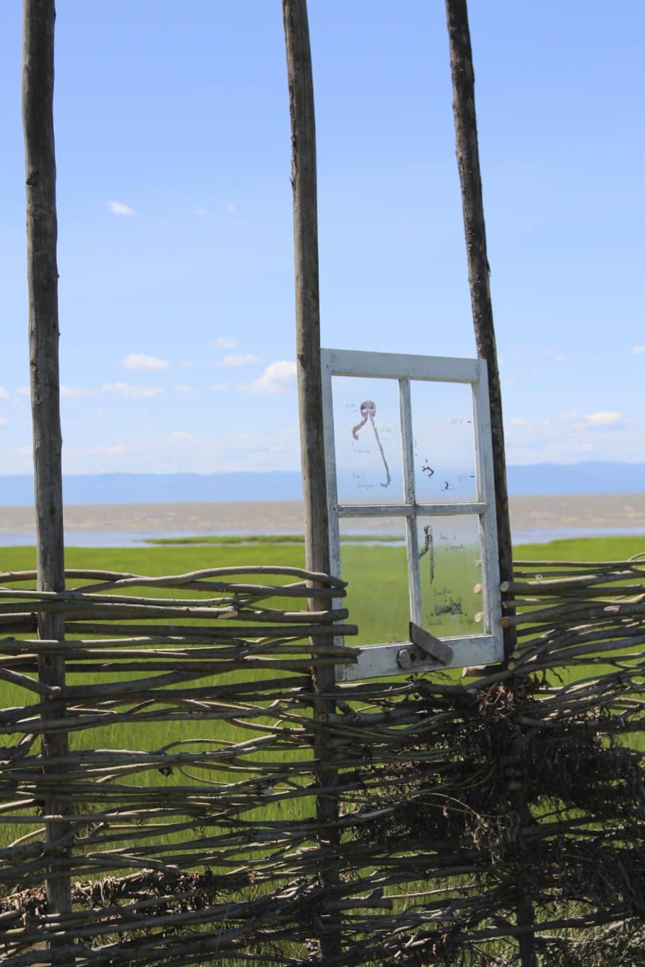 nathalie levasseur artiste laisser respirer 7