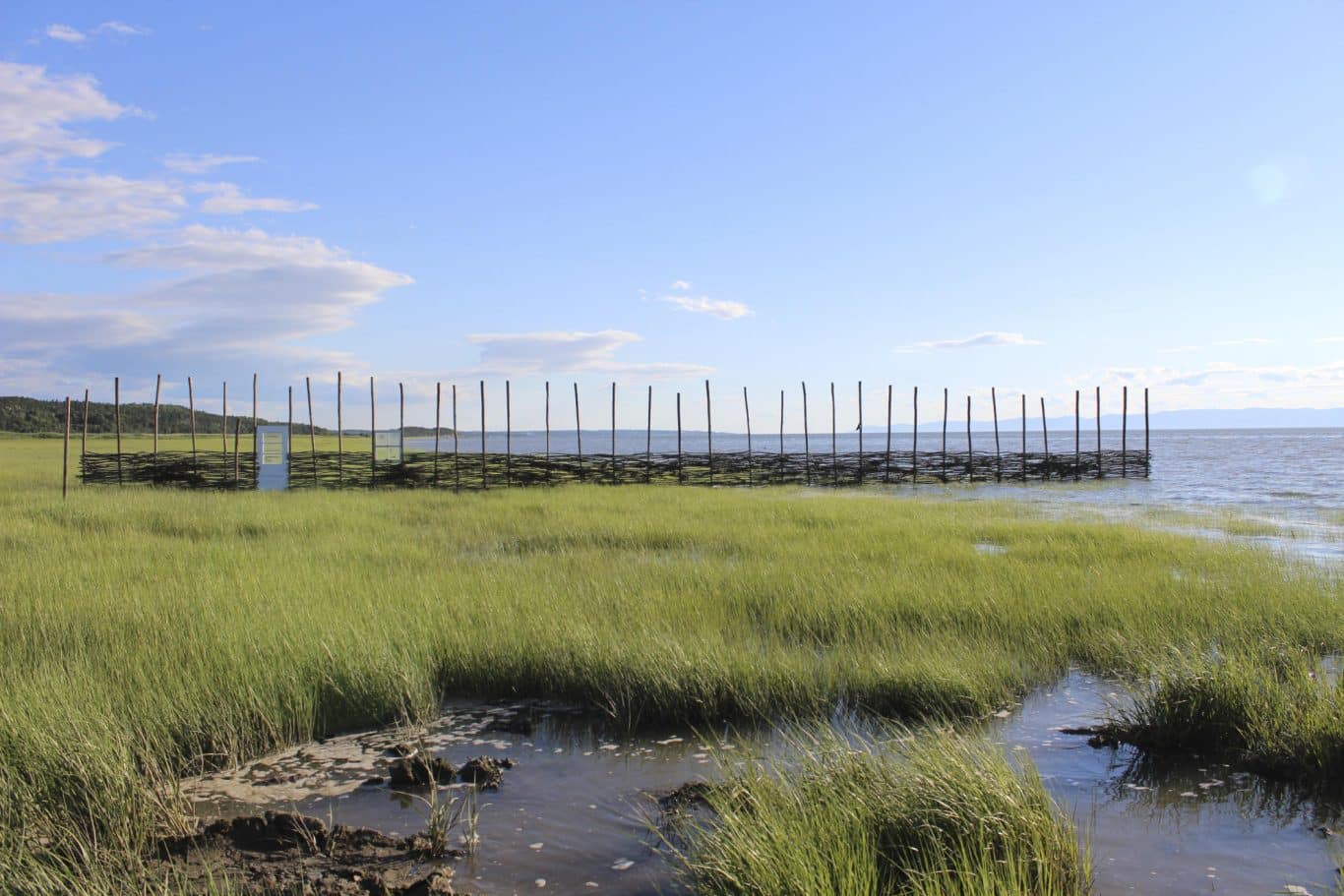 nathalie levasseur artiste laisser respirer 9